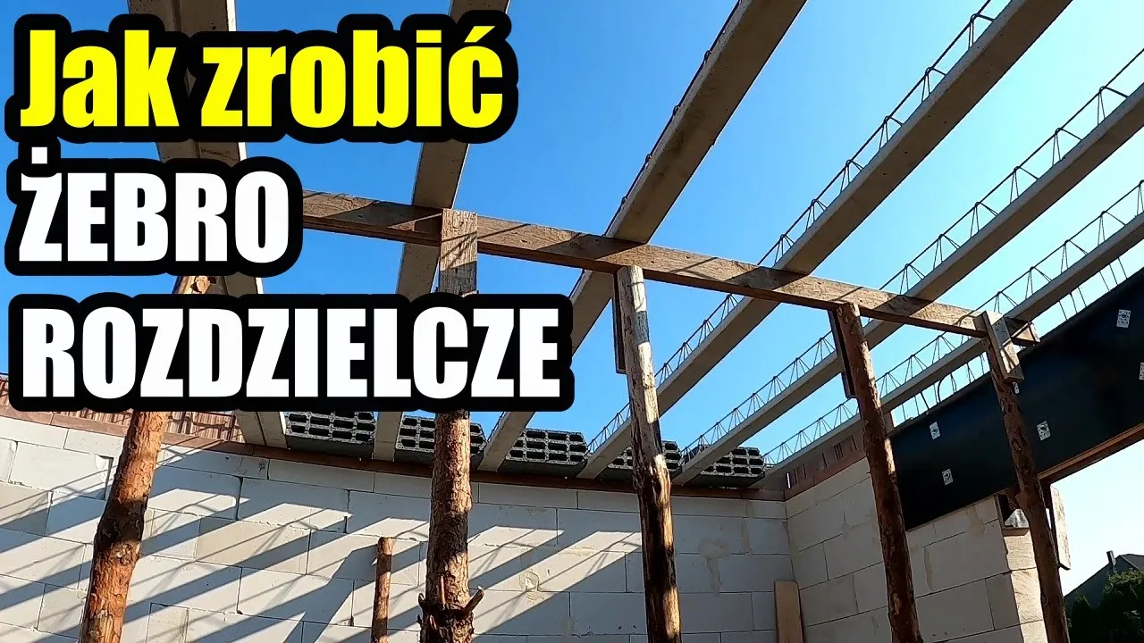 Strop Teriva: Ile żebro rozdzielcze jest potrzebne dla bezpieczeństwa?