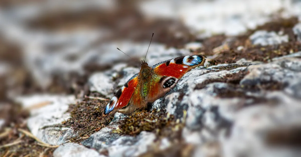 Mały, ale potężny! Jak przewód masowy ratuje Twoje auto? 5 faktów