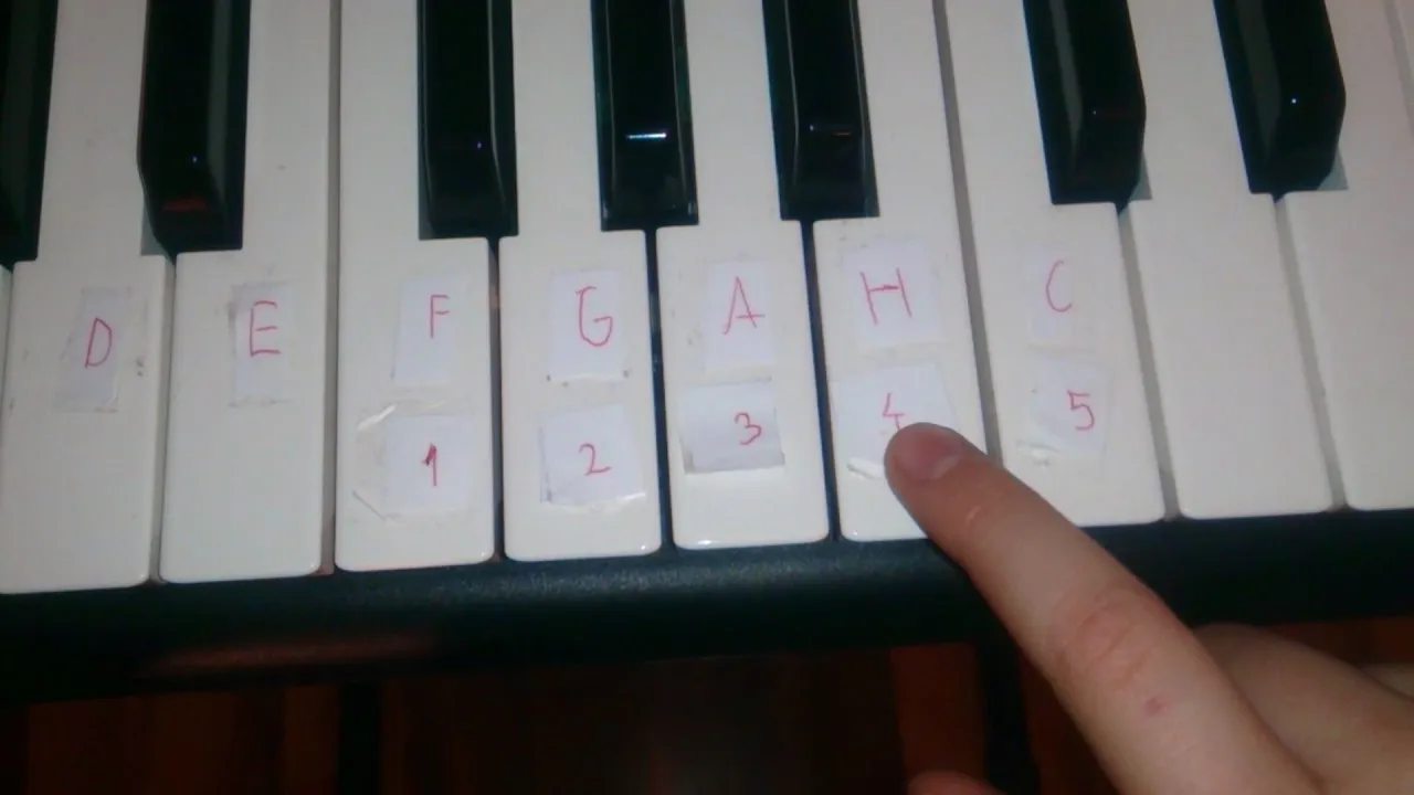 Jak zagrać wlazł kotek na płotek na pianinie i gitarze - łatwe nuty