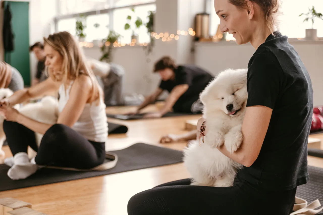 Joga ze szczeniakami gdzie znaleźć najlepsze zajęcia w Warszawie