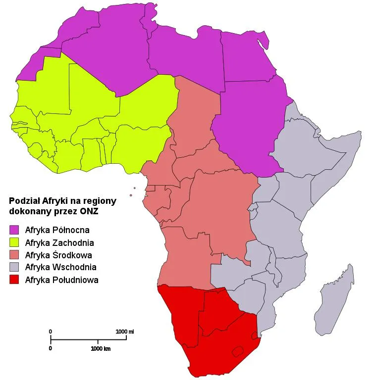 Ile ludzi mieszka w Afryce? Aktualne dane i zaskakujące trendy demograficzne Ile ludzi mieszka w Afryce? Aktualne dane i zaskakujące trendy demograficzne