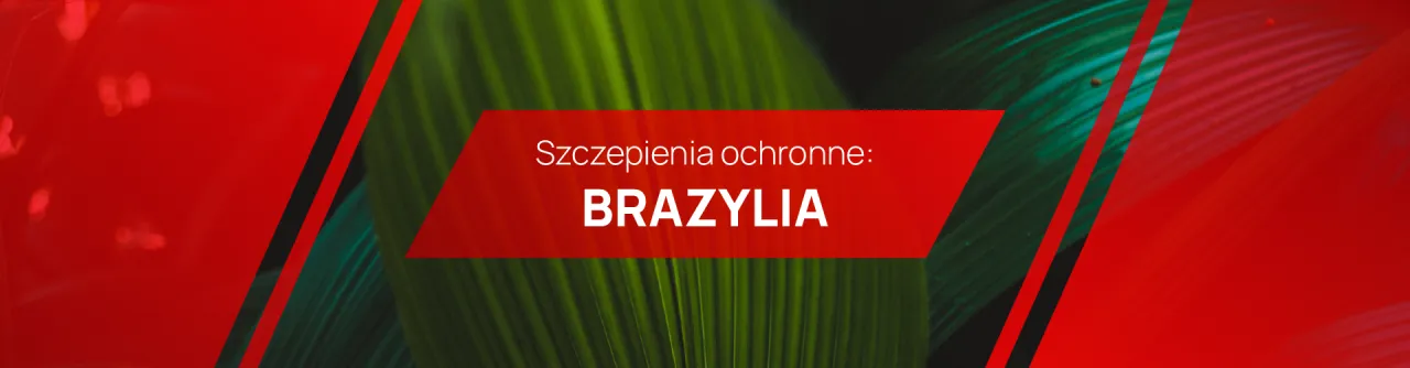 Choroby tropikalne Brazylii: co powinieneś wiedzieć przed podróżą