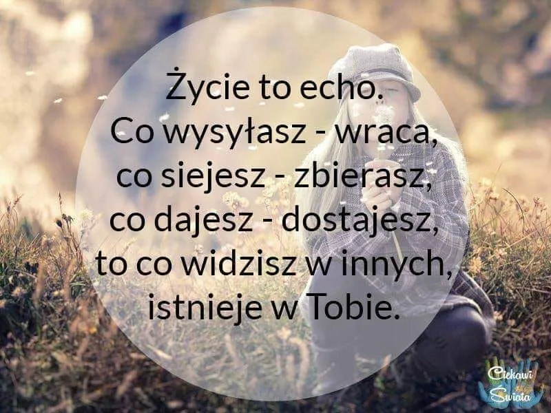 Cytaty o co siejesz to zbierasz - mądre słowa na życie i inspirację