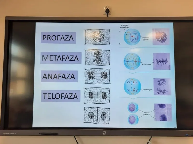 Zajęcia dodatkowe z biologii: jak rozwijać pasję i umiejętności uczniów