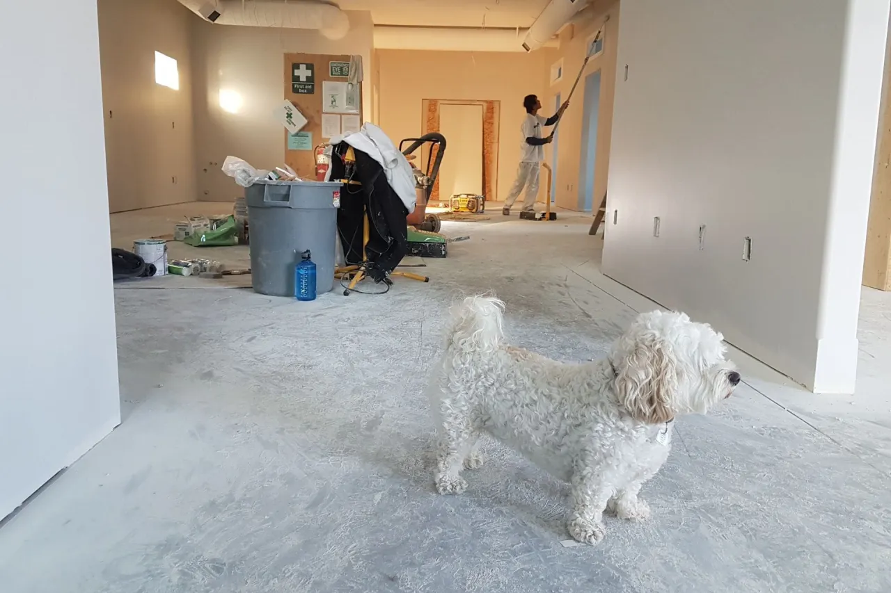 Ile kosztuje remont pokoju 15m2? Poznaj ukryte koszty i ceny materiałów