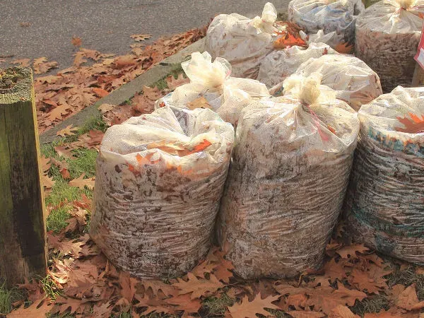 Jak zrobić kompost w workach - prosty sposób na ekologiczny nawóz ogrodowy