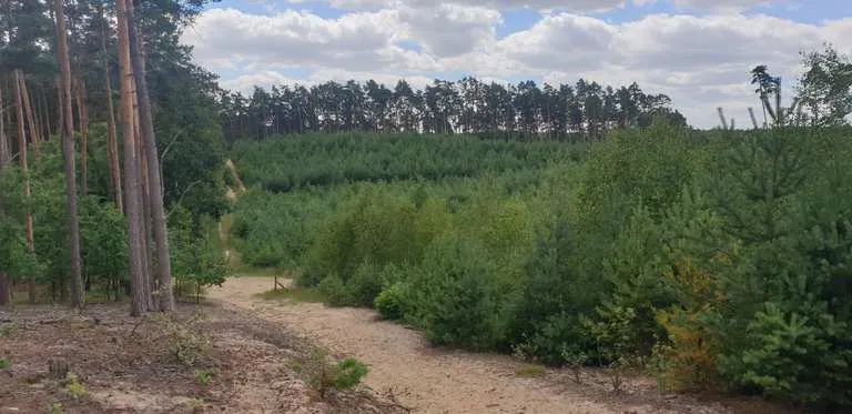 Trasy rowerowe Grudziądz: odkryj najlepsze szlaki i ich trudności