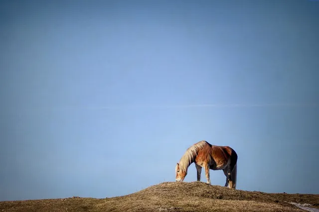 Gdzie wlać płyn do sprzęgła? Sprawdź, aby uniknąć problemów z autem