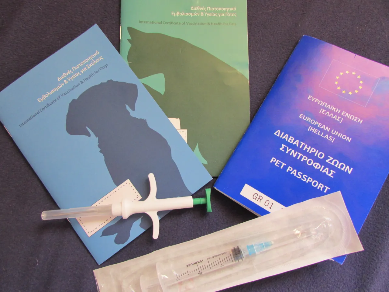 Jak przewieźć kota z Grecji do Polski bez zbędnych problemów?